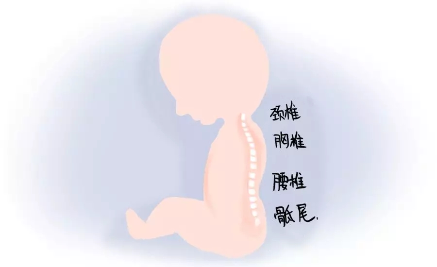 һڰʺƪһҪ1.webp.jpg